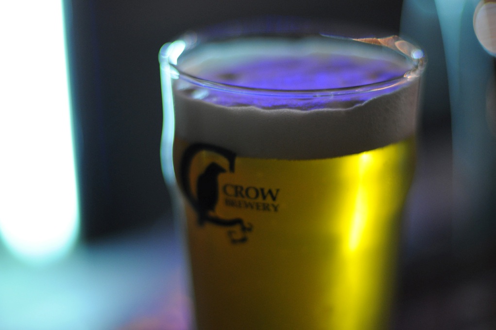 craft-pivo-crow-brewery-6
